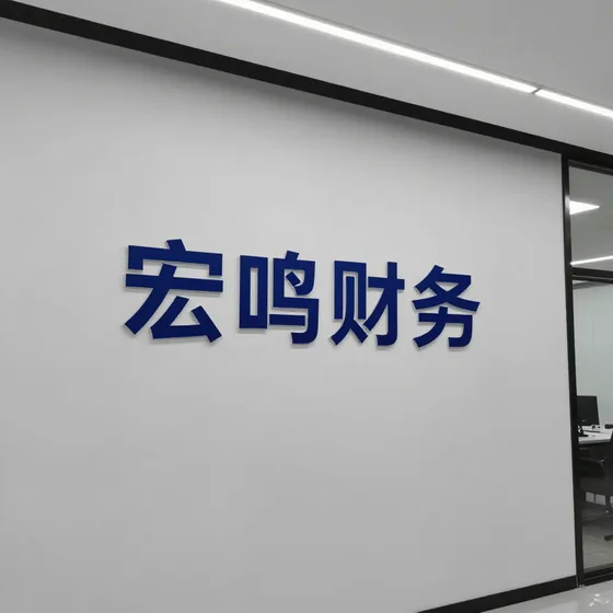 软件开发